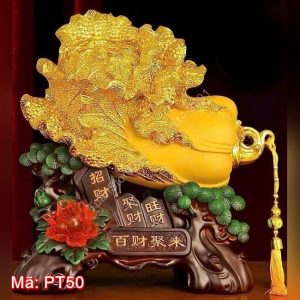Bắp cải tài lộc tụ tài PT50