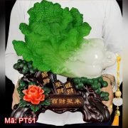 Bắp cải ngọc bách tài tụ lai PT51