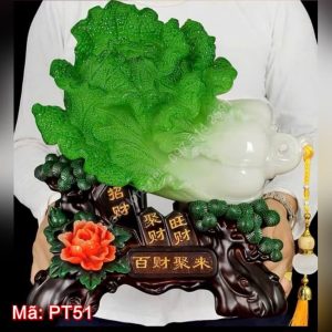 Bắp cải ngọc bách tài tụ lai PT51