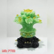 Cây tài lộc kim tiền PT52