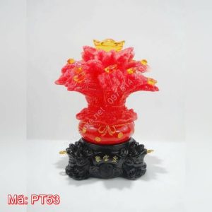 Cây tài lộc san hô đỏ PT53