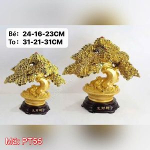 Cây phát tài kim tiền PT55