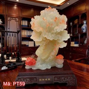 Cây bắp cải tài lộc PT59
