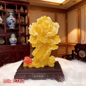 Cây bắp cải phú quý PT60