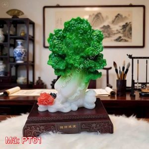 Cây bắp cải song hỷ tài lộc PT61